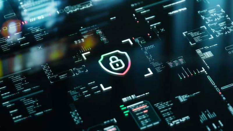 杜尔伯特软件开发公司